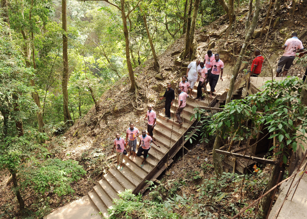 Visitors using the steep concrete stairway through Olumirin's forest